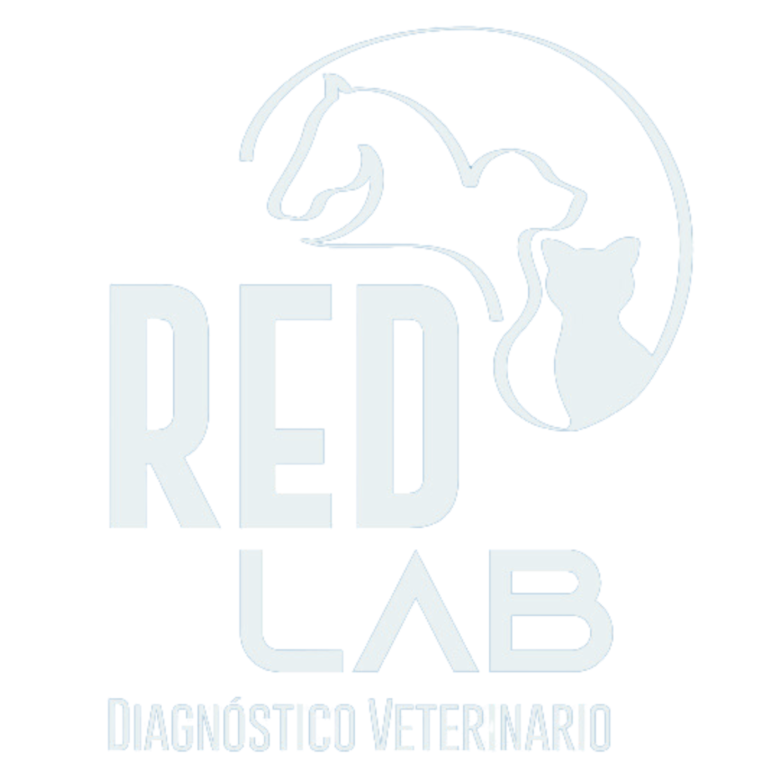 HOME [redlabmexico.com]